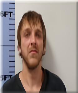 Mugshot of Curtis Williams