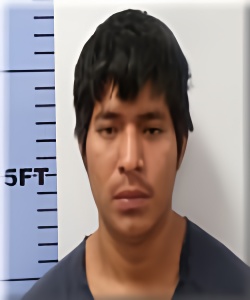 Mugshot of Erik Mendoza-Hernandez