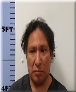 Mugshot of Bonifacio Bautista-Arellano