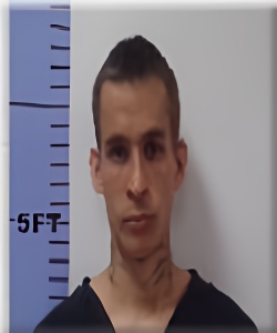 Mugshot of Dominic Joa