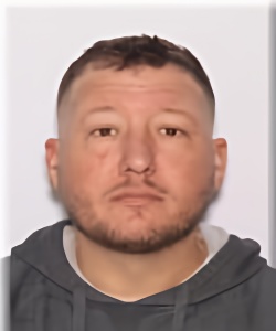 Mugshot of Thomas Anderson