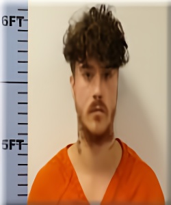 Mugshot of Tyler Wilson