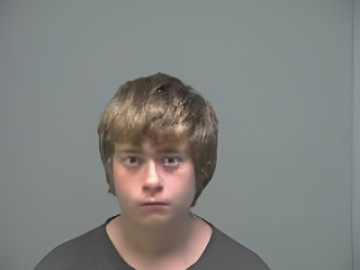 Mugshot of Dalton Brickles