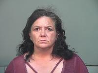 Mugshot of Michelle Renee Phillips