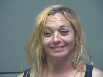 Mugshot of Amy Lynn Laird