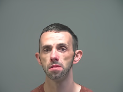 Mugshot of Robert Austin Wilson