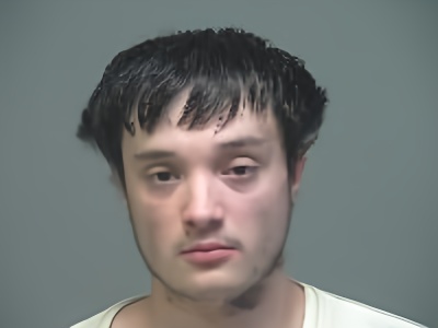 Mugshot of Gideon Miles Long