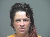 Mugshot of Courtney Elizabeth Folk