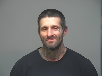 Mugshot of Paul David Williamson