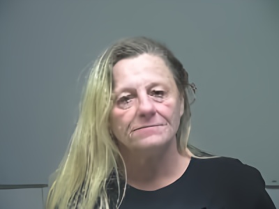 Mugshot of Sheila Hope McClellan
