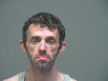 Mugshot of Robert Austin Wilson