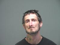 Mugshot of David Wade Phillips