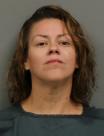Mugshot of LINDSAY BROOK ROTH