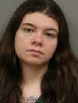 Mugshot of MEGAN LYNN MILLS