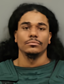 Mugshot of NICORY BRENDON SWADIS