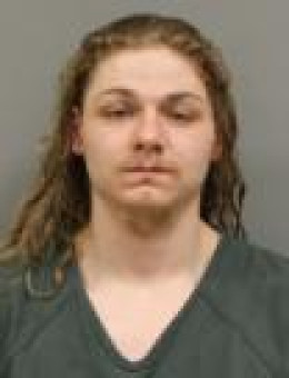 Mugshot of STEVEN ERIC PAULUS