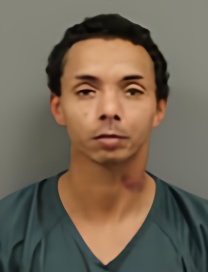 Mugshot of JUSTICE WILLIAM ELLIS