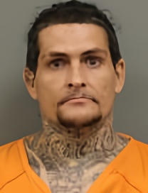 Mugshot of BRIAN TIMOTHY GRAY