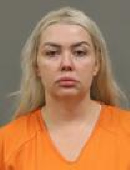 Mugshot of RENEE ARLENE POLING