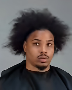Mugshot of Tyrice Dawon, Jr Collins