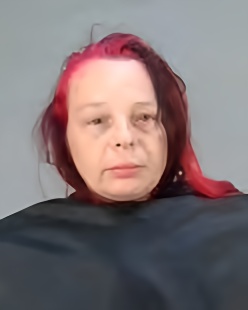 Mugshot of VIRGINIA A M WILSON