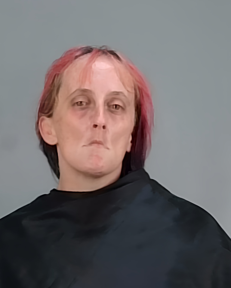 Mugshot of DAWN MARIE LANTZ