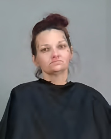 Mugshot of ASHLEY RENEE PERRONE- CRAYDEN