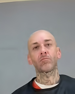 Mugshot of MICHAEL JAY WALSH
