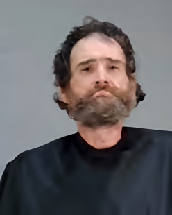 Mugshot of AARON CHRISTOPHER WELLS