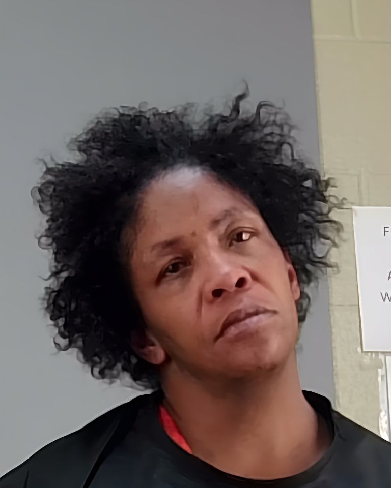 Mugshot of LATOY DANIELLE SHEPPARD