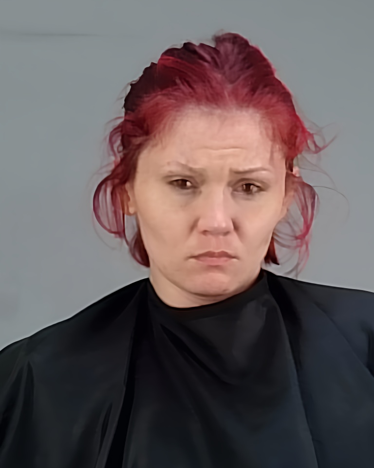 Mugshot of TANDA JONICE CODAY