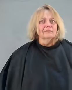 Mugshot of MEREDITH MAE POALSON