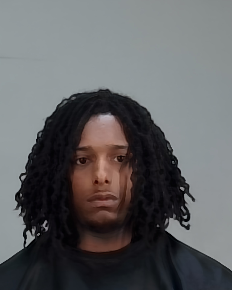 Mugshot of DAVIN C, II DORTCH