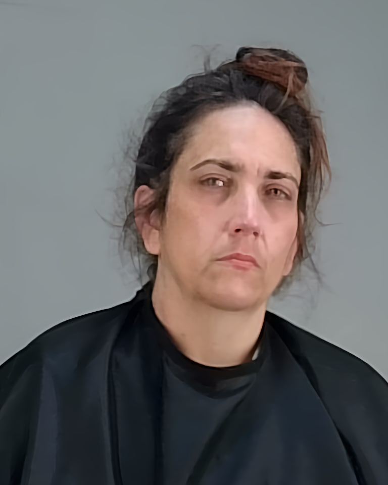 Mugshot of HOLLY LYNETT FIELDS