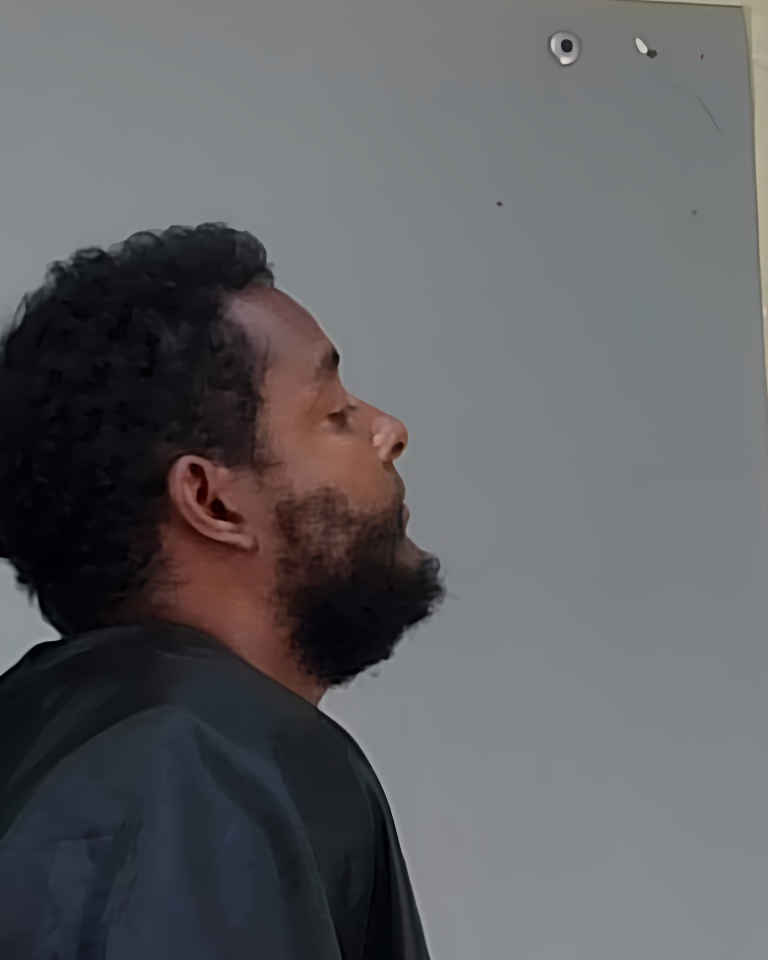 Mugshot of DEANDREO GRIFFIN COOK-PALMER