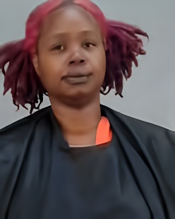 Mugshot of JESSICA ANN VICKERS