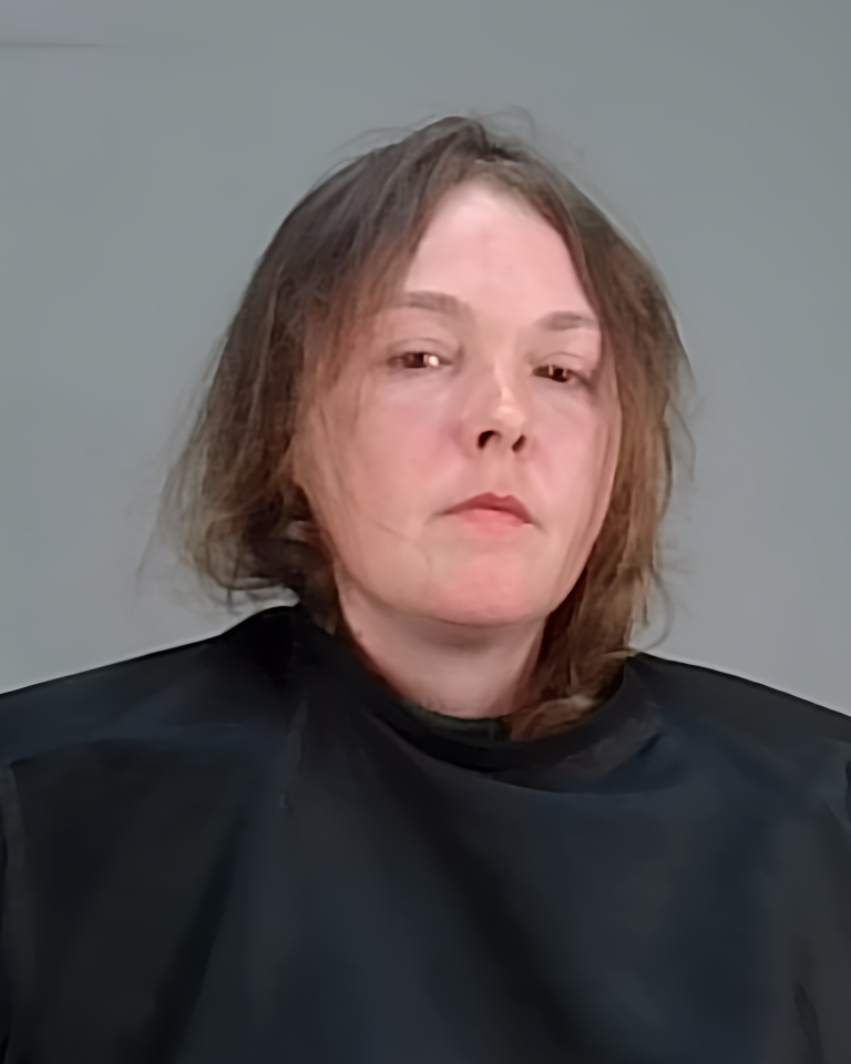 Mugshot of DENISE ROSE HAWK