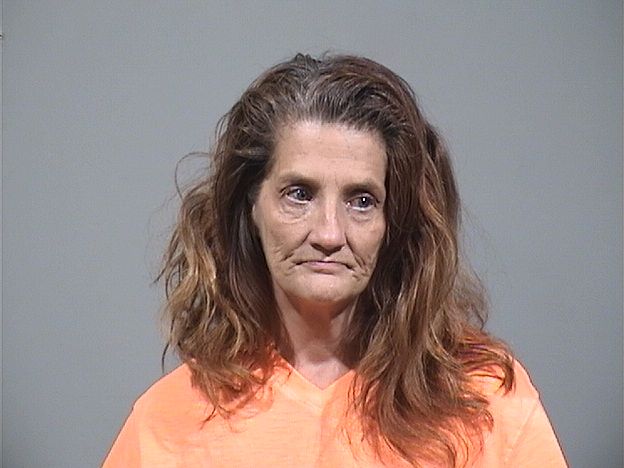 Mugshot of LISA JEAN VIVIO