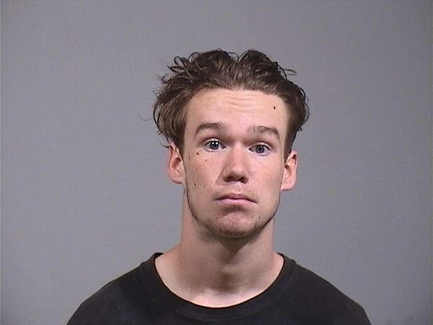 Mugshot of DOMINIC MESAROS