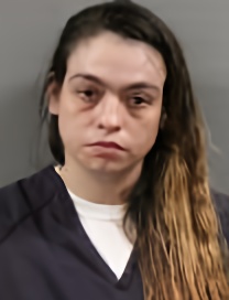 Mugshot of STEPHANIE NICOLE PHILABAUM