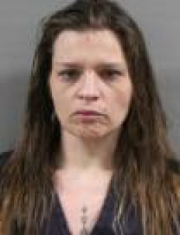 Mugshot of DANIELLE MARIE SEARS