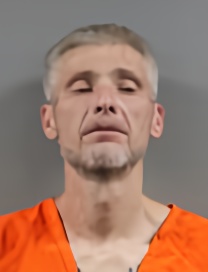 Mugshot of BILL DWANE MCINTYRE