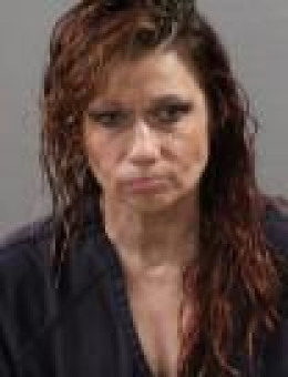 Mugshot of DESEREE S ROLLIC