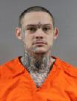 Mugshot of HUNTER NICHOLAS HOLLINS