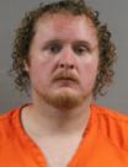 Mugshot of ALEX V WALKER