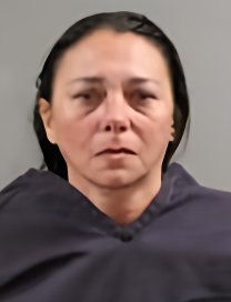 Mugshot of NICOLE M FOX