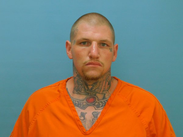 Mugshot of IAN TAYLOR