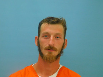 Mugshot of JAMES VIBBERT