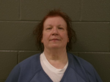 Mugshot of DONNA LYNN RILEY