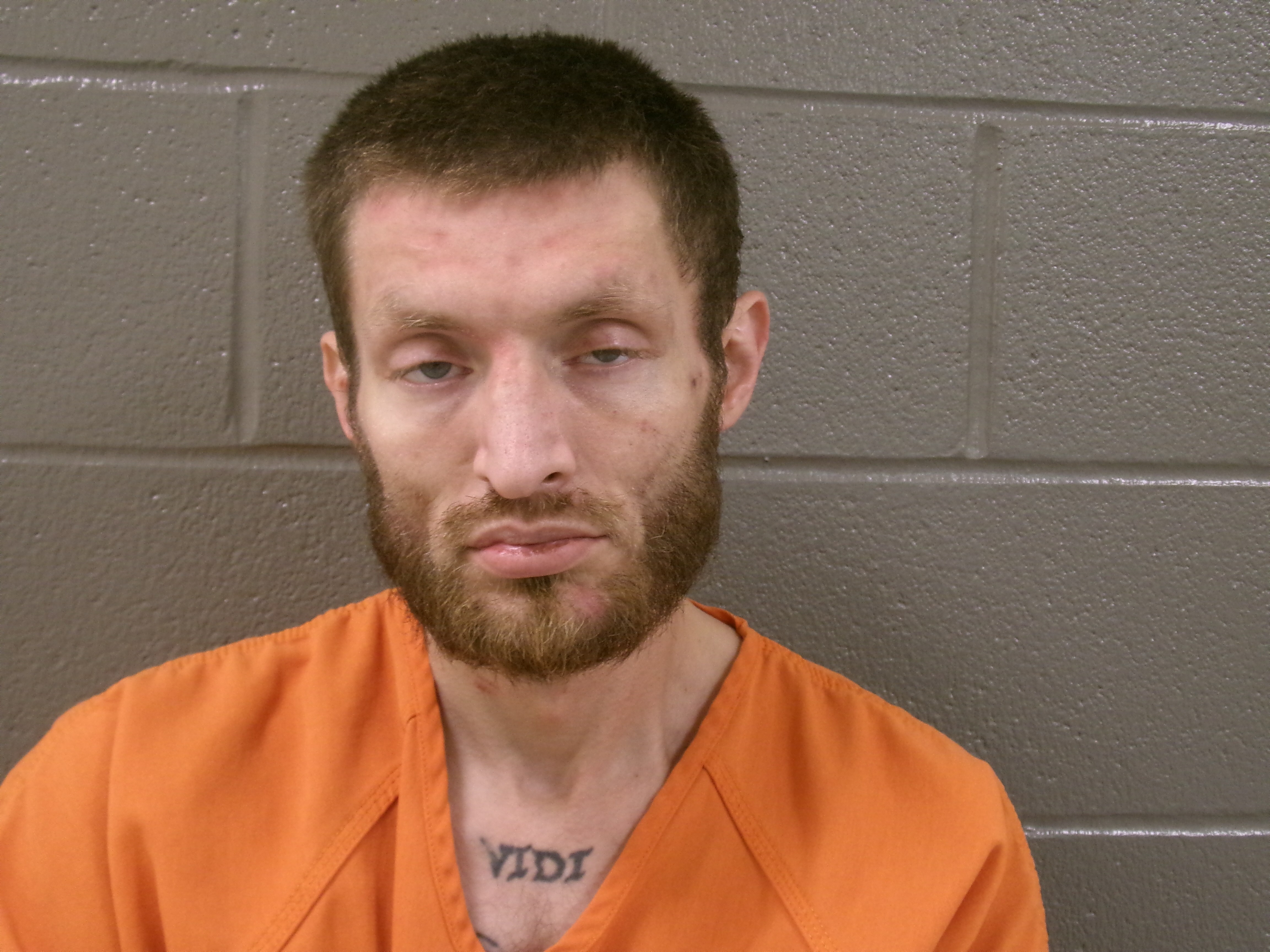 Mugshot of DUSTIN JAMES WARD